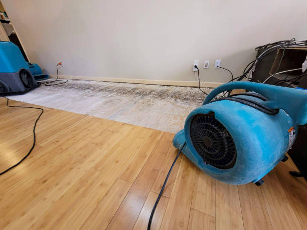 Professional Water Extraction technician working in Lincoln, MO